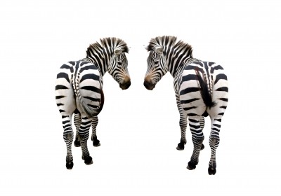 comparing the pair is difficult to do in advertising