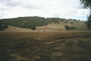 Waylen Farm when it was simply 'potential'.
