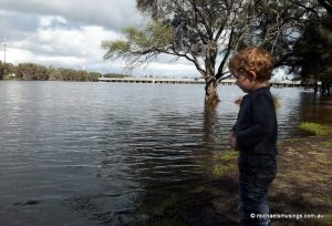 What housing options will be available for my children?