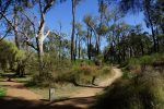 Financial planning perth which way to go