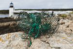 loyalty point schemes michaels musings Photo by Karl Magnuson on Unsplash